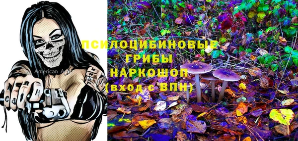 spice Волосово