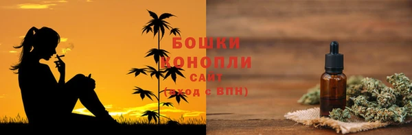 дживик Володарск