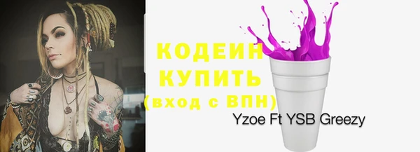 дживик Володарск