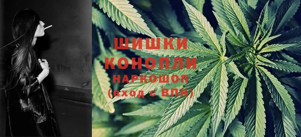 дживик Володарск