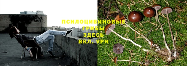 ПСИЛОЦИБИНОВЫЕ ГРИБЫ Волоколамск