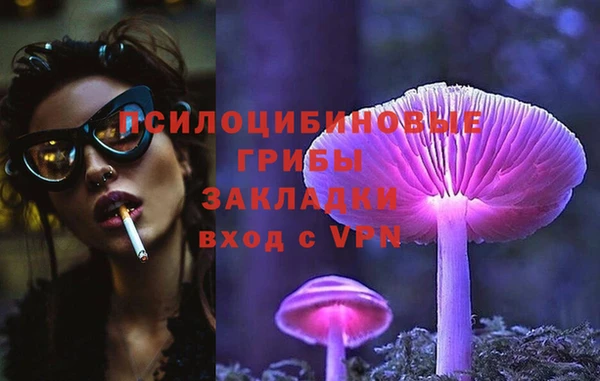 дживик Володарск