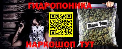 крисы Балахна