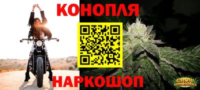 индика Берёзовский