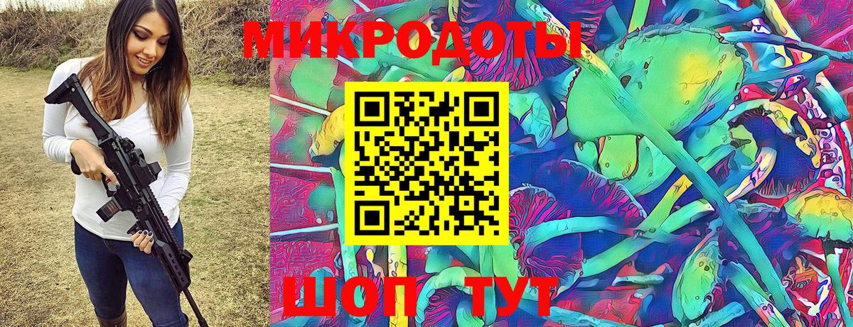 Галлюциногенные грибы Psilocybine cubensis Городец