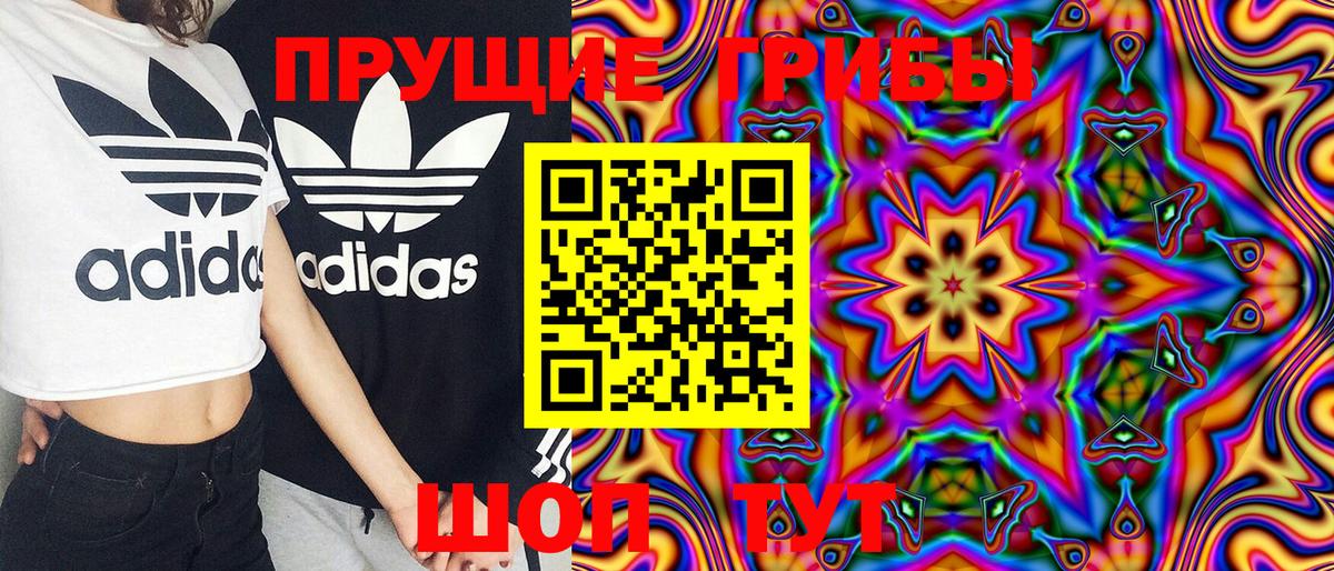 Псилоцибиновые грибы Psilocybine cubensis  Вход с VPN  Городец 