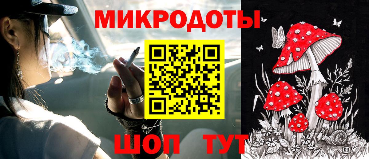 где можно купить наркотик  Галлюциногенные грибы ЛСД  Городец  Псилоцибиновые грибы Psilocybine cubensis 